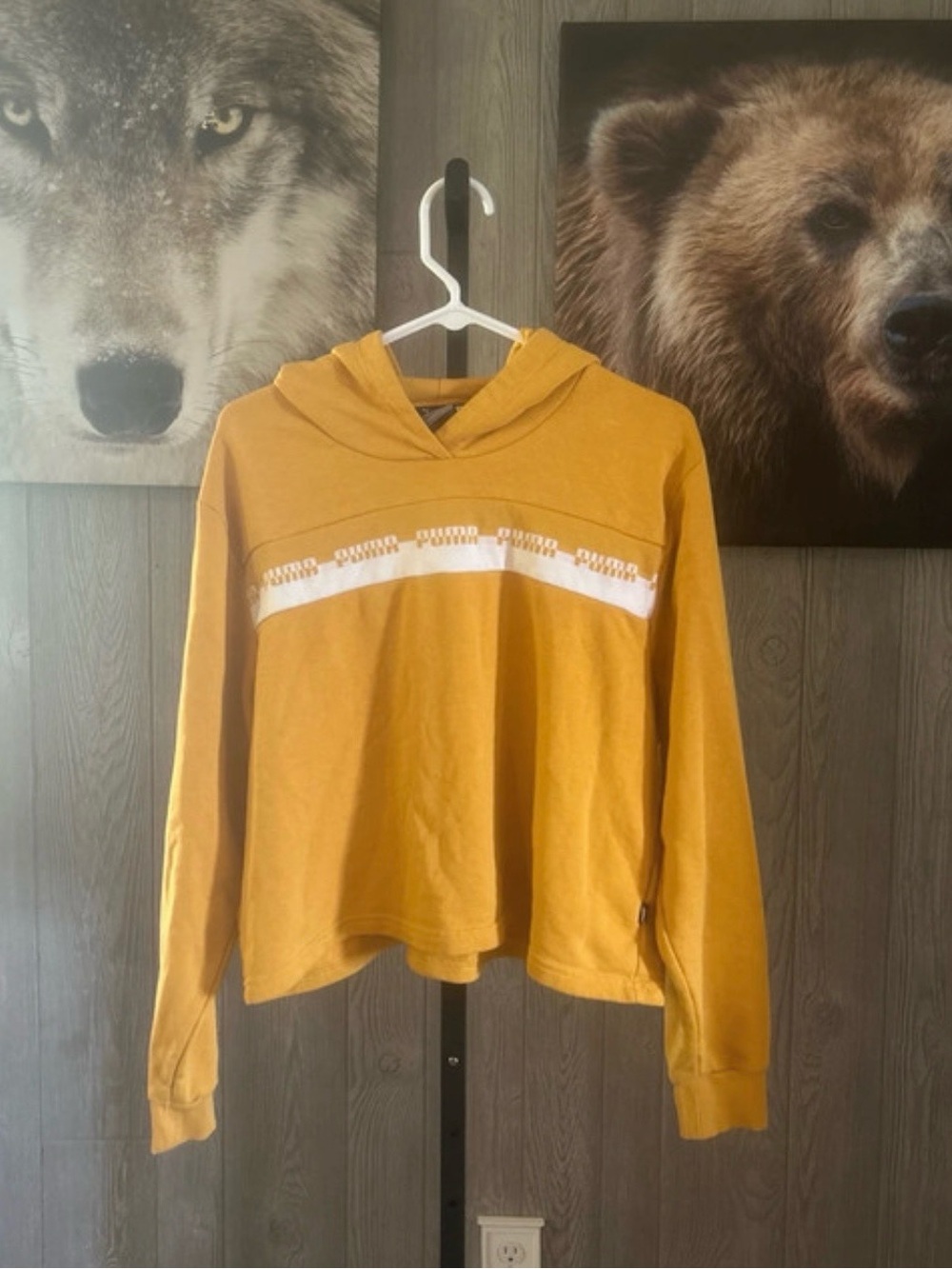 VGUC Puma Hoodie
